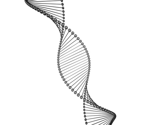 [0468-21761070-1] Anti-WGA Lectin Antibody (Rabbit Polyclonal IgG) – GlycoMatrix™, 200 ug